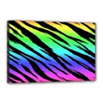 Rainbow Tiger Canvas 18  x 12  (Stretched)