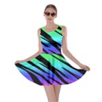 Rainbow Tiger Skater Dress