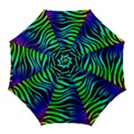 Rainbow Zebra Golf Umbrella