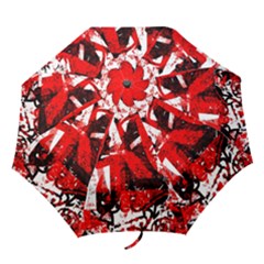 Folding Umbrella 