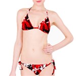 Red Graffiti Classic Bikini Set
