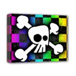 Checker Rainbow Skull Deluxe Canvas 14  x 11  (Stretched)