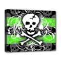 Deluxe Canvas 20  x 16  (Stretched) 