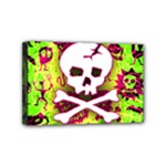 Deathrock Skull & Crossbones Mini Canvas 6  x 4  (Stretched)