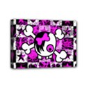Mini Canvas 7  x 5  (Stretched) 