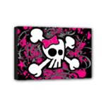 Girly Skull & Crossbones Mini Canvas 6  x 4  (Stretched)