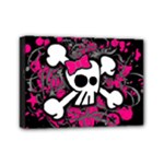 Girly Skull & Crossbones Mini Canvas 7  x 5  (Stretched)