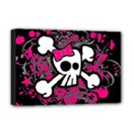 Girly Skull & Crossbones Deluxe Canvas 18  x 12  (Stretched)