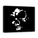 Deluxe Canvas 20  x 16  (Stretched) 