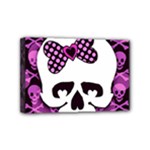 Pink Polka Dot Bow Skull Mini Canvas 6  x 4  (Stretched)