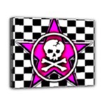 Pink Star Skull Checker Canvas 10  x 8  (Stretched)