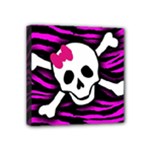 Pink Zebra Skull Mini Canvas 4  x 4  (Stretched)