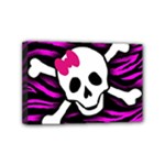 Pink Zebra Skull Mini Canvas 6  x 4  (Stretched)
