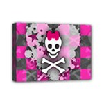 Princess Skull Heart Mini Canvas 7  x 5  (Stretched)