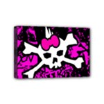 Punk Skull Princess Mini Canvas 6  x 4  (Stretched)