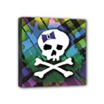 Rainbow Plaid Skull Mini Canvas 4  x 4  (Stretched)