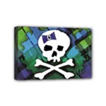 Rainbow Plaid Skull Mini Canvas 6  x 4  (Stretched)