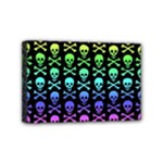 Rainbow Skull and Crossbones  Mini Canvas 6  x 4  (Stretched)