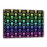 Rainbow Skull and Crossbones  Canvas 18  x 12  (Stretched)