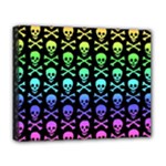 Rainbow Skull and Crossbones  Deluxe Canvas 20  x 16  (Stretched)