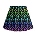 Rainbow Skull and Crossbones  Mini Flare Skirt