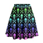 Rainbow Skull and Crossbones  High Waist Skirt