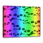 Rainbow Skull Collection Canvas 20  x 16  (Stretched)