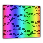 Rainbow Skull Collection Canvas 24  x 20  (Stretched)