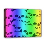 Rainbow Skull Collection Deluxe Canvas 16  x 12  (Stretched) 