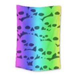 Rainbow Skull Collection Small Tapestry