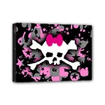 Scene Skull Splatter Mini Canvas 7  x 5  (Stretched)