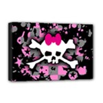 Scene Skull Splatter Deluxe Canvas 18  x 12  (Stretched)