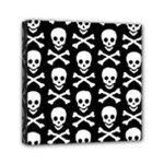 Skull and Crossbones Mini Canvas 6  x 6  (Stretched)