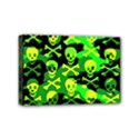 Mini Canvas 6  x 4  (Stretched) 