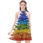 rainbow christmas tree Halter Neckline Chiffon Dress 