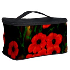 Cosmetic Storage Case 
