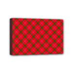 Holiday Mini Canvas 6  x 4  (Stretched)