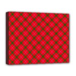 Holiday Deluxe Canvas 20  x 16  (Stretched)