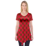 Holiday Short Sleeve Tunic 
