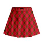 Holiday Mini Flare Skirt