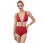 Holiday Tied Up Two Piece Swimsuit