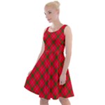 Holiday Knee Length Skater Dress