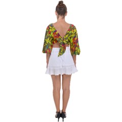 Tie Back Butterfly Sleeve Chiffon Top 