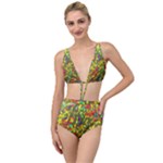 Colorful brush strokes painting on a green background                                                   Tied Up Two Piece Swimsuit