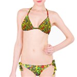 Colorful brush strokes painting on a green background                                                    Bikini set