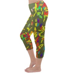 Capri Winter Leggings Back Capri Winter Leggings Back