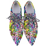 Colorful paint texture                                                 Women s Pointed Oxford Shoes