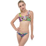 Colorful paint texture                                                   The Little Details Bikini Set