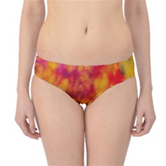 Hipster Bikini Bottoms 