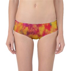 Classic Bikini Bottoms 